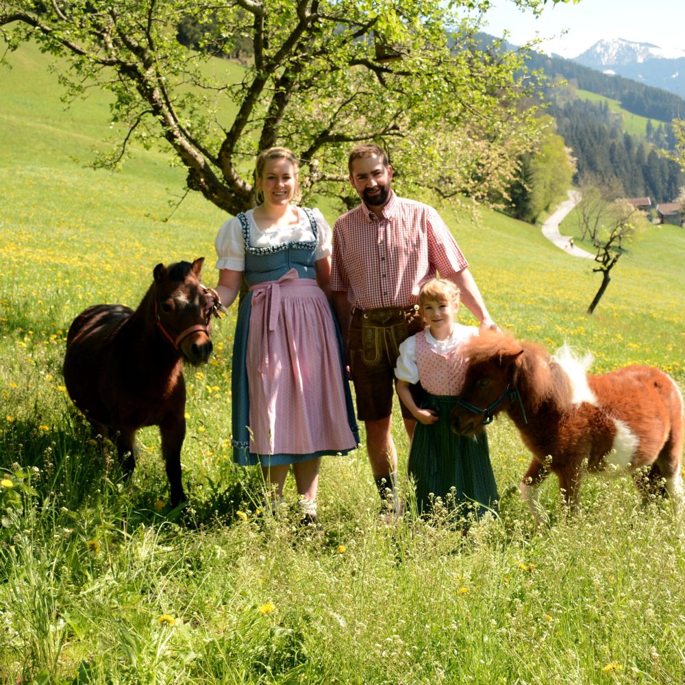 Binsalm im Karwendelgebirge