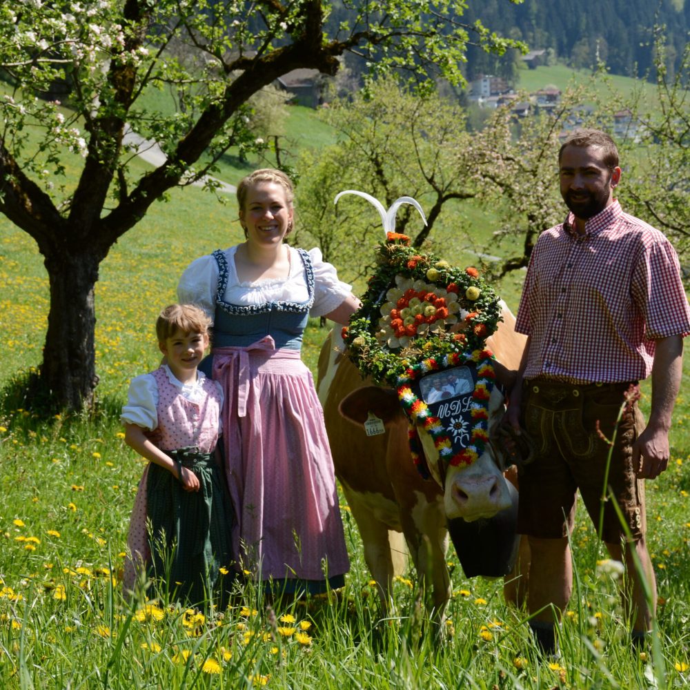 Binsalm im Karwendelgebirge