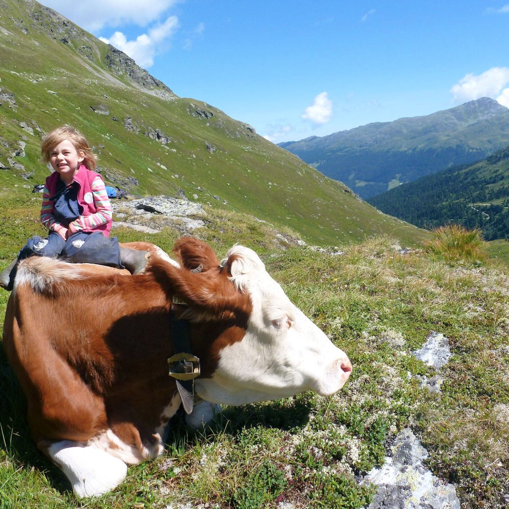 Binsalm im Karwendelgebirge