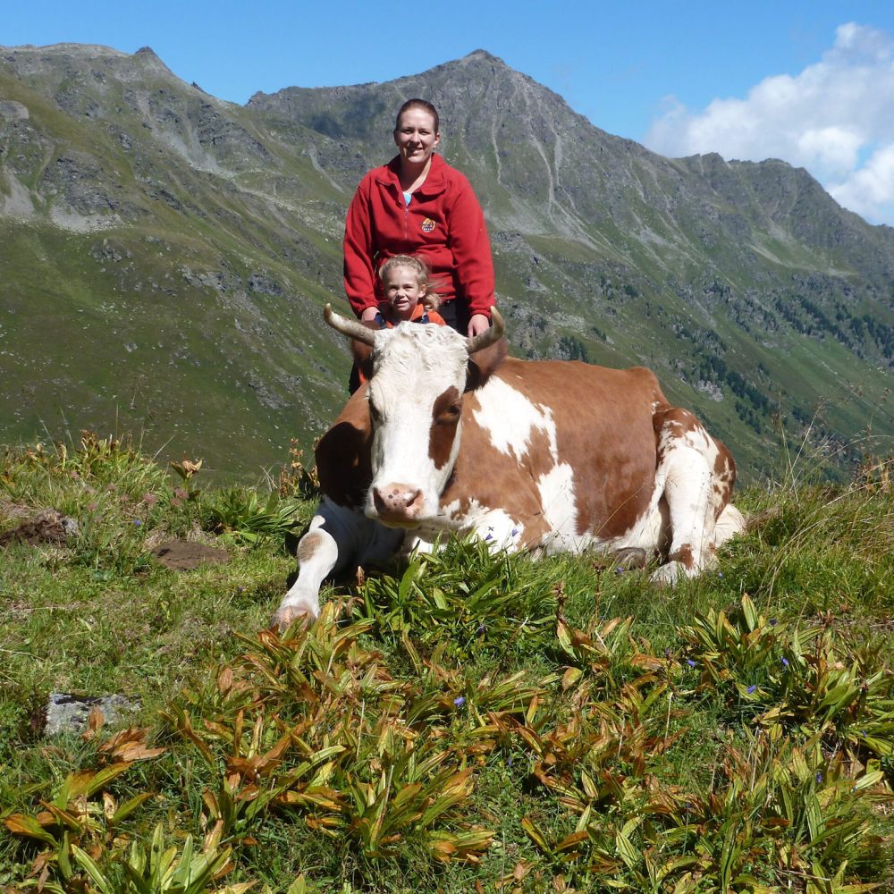 Binsalm im Karwendelgebirge